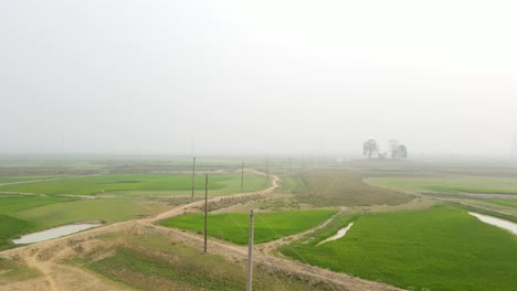 Electric-pole-in-agricultural-field