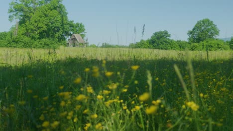 Open-green-meadow-with-yellow-flowers-and-a-lookout-in-the-background