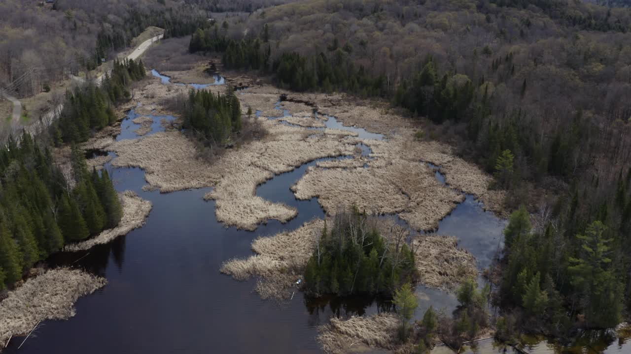 Ontario wetland beside lake and highway in spring