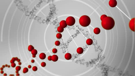 deoxyribonucleic acid models