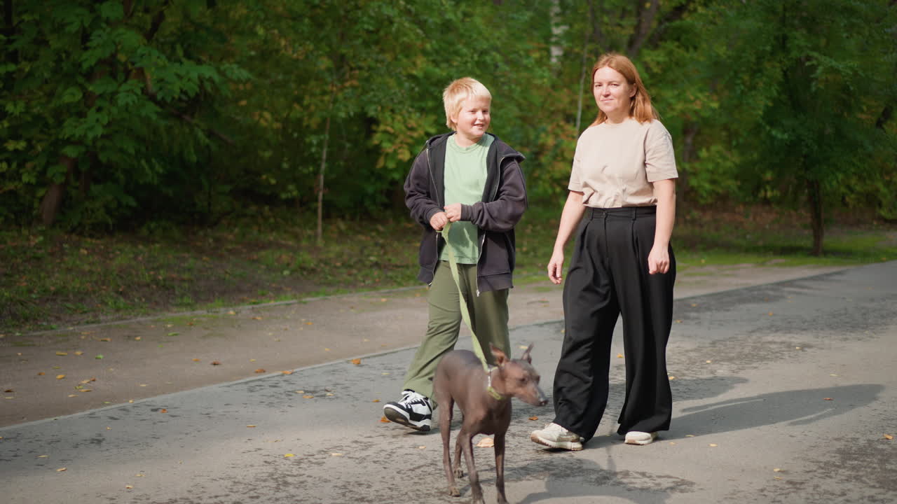 Female And Child Walk, Mother And Son With Dog, Mother And Her Young Son Enjoy Peaceful Walk Outdoors, Woman And Her Young Son Leisurely Stroll With Their Pet Dog In Quiet Afternoon Park