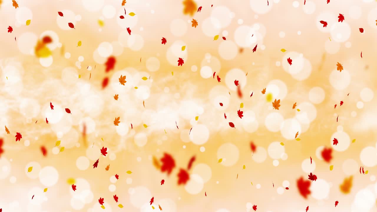 빛 은 잎은 빛과 함께 가을의 배경에서 흔들립니다. 아름다운 자연 장면. 일러스트레이션 메이플 잎. 가을 추상적인 그래픽. 루프 애니메이션.