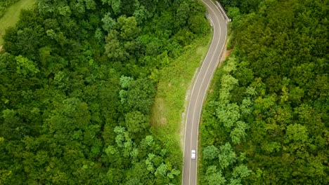 carretera asfaltada curva negra con autos todoterreno blancos en el bosque de montaña tierras altas verdes con líneas blancas hermosa autopista conduciendo campistas viajeros de familia o parejas viajan a un paisaje fresco en vacaciones