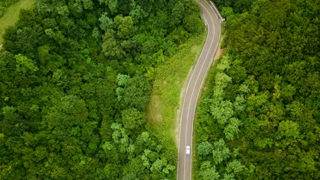 curve black asphalt road with white suv cars in mountain forest green highland with white lines beautiful freeway driving campers travelers of family or couples trip to fresh landscape on holidays