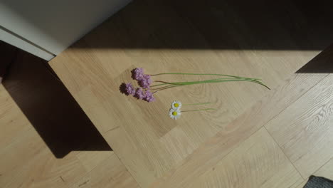 Frisch-Gepflückte-Gänseblümchen-Und-Andere-Violette-Blumen,-Die-Im-Sonnenlicht-Auf-Der-Treppe-Im-Innenbereich-Angeordnet-Sind