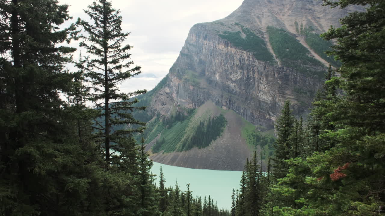 Serene view of turquoise Lake Louise framed pines