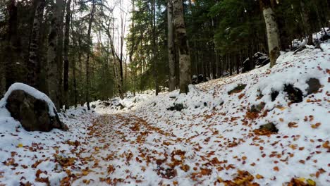 Winter-forest-surrounded-by-mountains