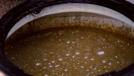 sugarcane juices being processed into jungle rum and stored in a large plastic container - close up