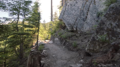 beautiful rock formations in canadian forest