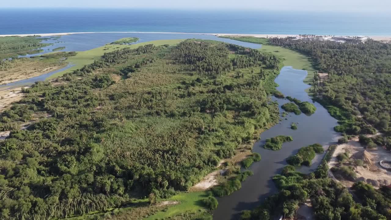 imágenes de drones de la reserva ecológica municipal estero en san josé del cabo baja california sur méxico, humedales y bosque marítimo con el océano en la distancia