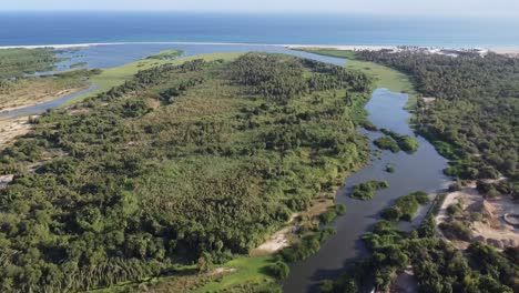 Drone-footage-of-the-Reserva-Ecologica-municipal-Estero-in-San-Jose-del-Cabo-Baja-California-Sur-Mexico,-wetlands-and-maritime-forest-with-the-ocean-in-the-distance