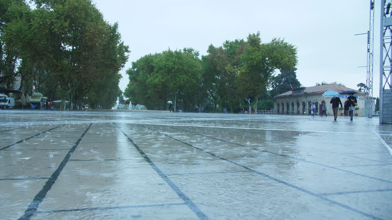 Regnerischer Tag auf dem Pflaster, Montpellier Place de la Comédie, Bäume im Hintergrund, Frankreich