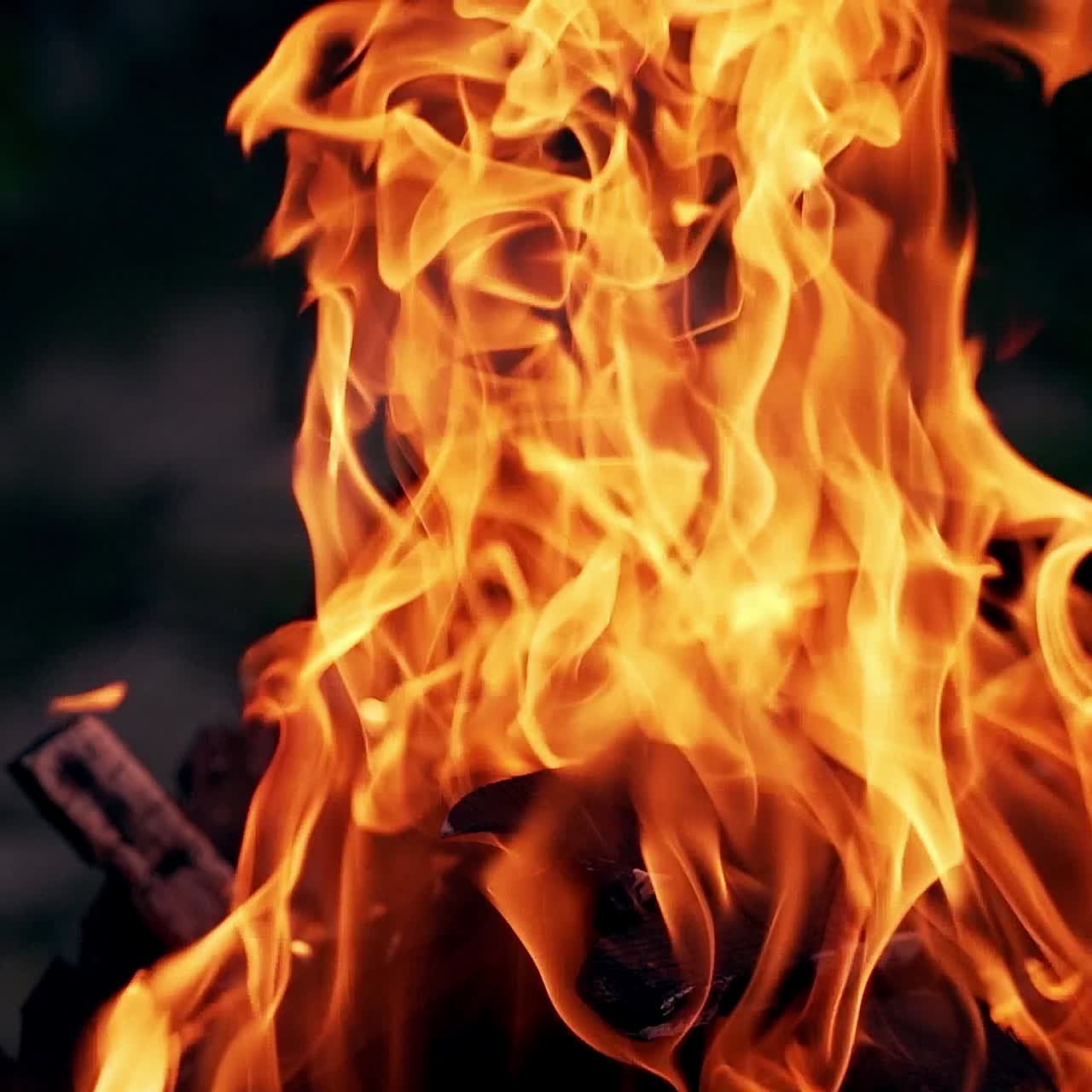 hoguera quemando arboles en la noche