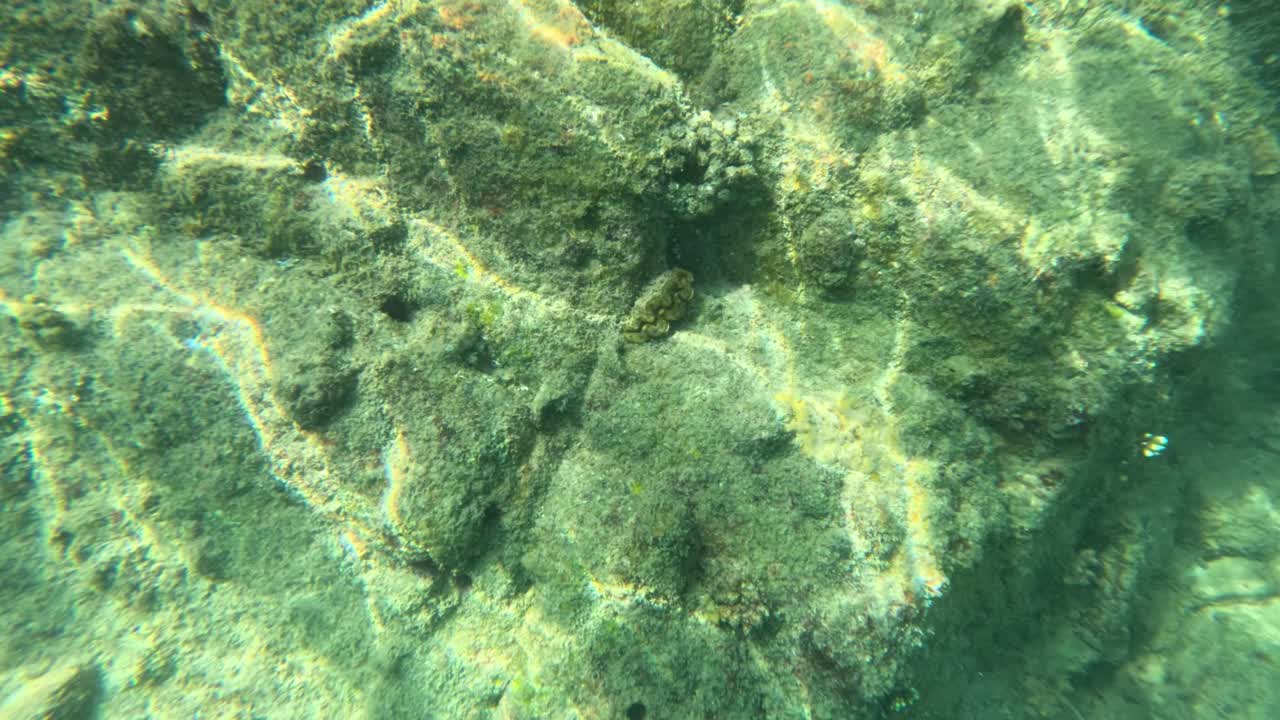 яркая подводная сцена, изображающая коралловые рифы с рисунками солнечного света, зафиксирована в чистых водах у пхукета, таиланд