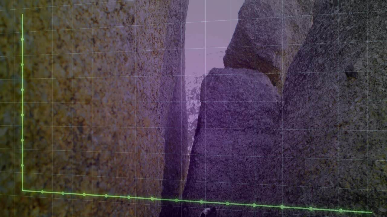 Upon green grid appearing graph growing along rocks as penguin shifting posture observing trends