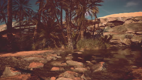 oasis desértico con palmeras y agua