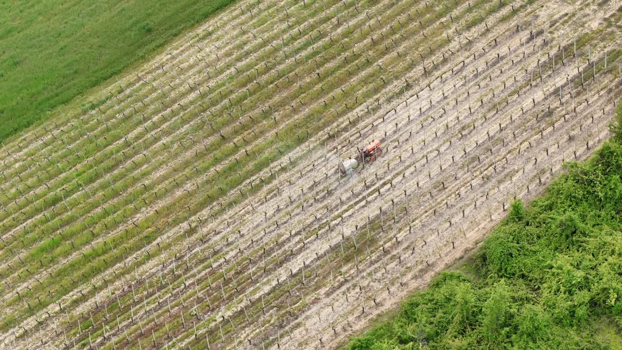 Red tractor working in vineyard on a sunny day, spraying pesticides in rows of grapevines in a picturesque hilly landscape, surrounded by green fields and trees
