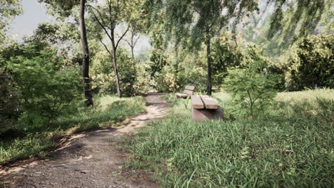 Bench-in-the-summer-park-with-old-trees-and-footpath