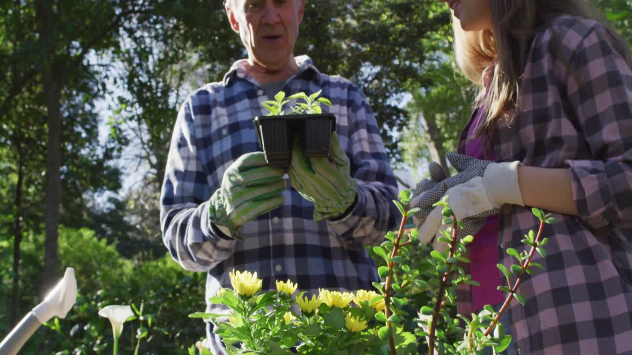 padre caucásico mayor sonriente y hija adolescente trabajando en el jardín e inspeccionando plantas