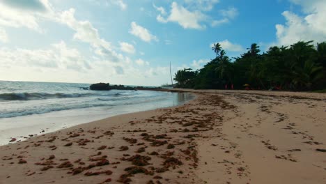 caminando por una playa increíblemente hermosa con arena dorada, agua azul y palmeras en la playa tropical de tabatinga cerca de joao pessoa en paraiba, brasil