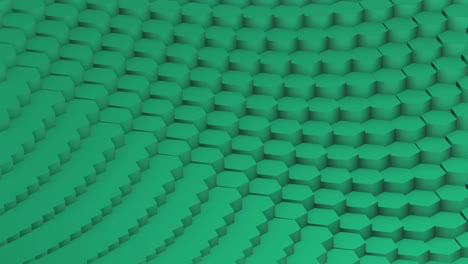 hexagon turkuaz loop