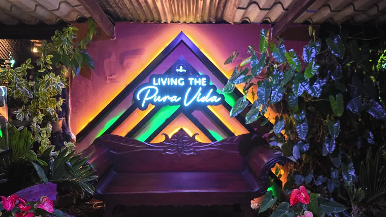 Living the Pura Vida: Tropical Night Scene with Neon Sign and Bench