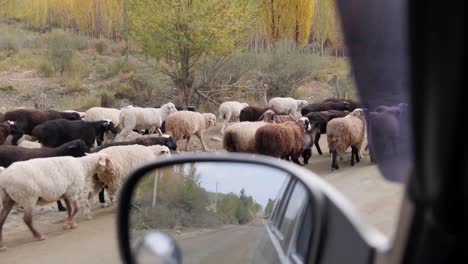 Fahren-Und-Reisen-Durch-Das-Erstaunliche-Barskoon-tal-In-Kirgisistan-In-Zentralasien