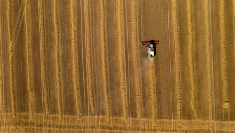 combine harvester at work in field