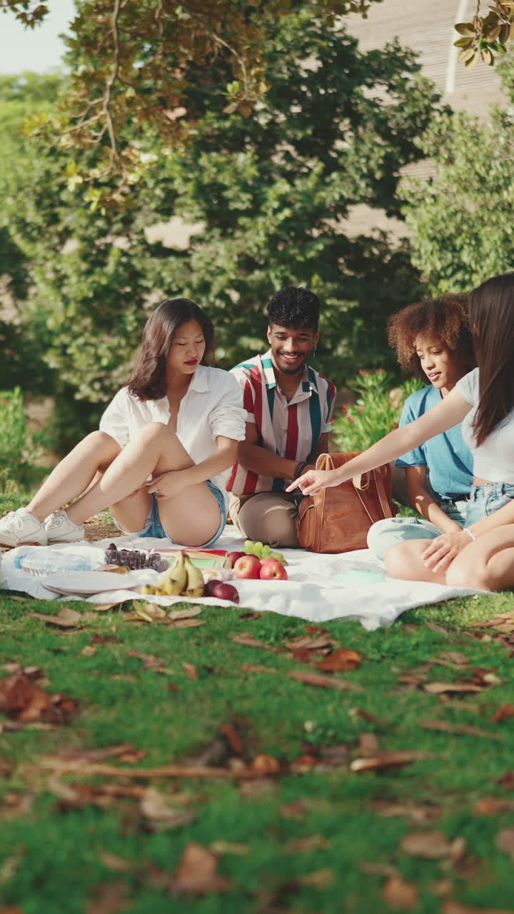 친구 들 이 공원 에서 피크닉 을 하고 있다