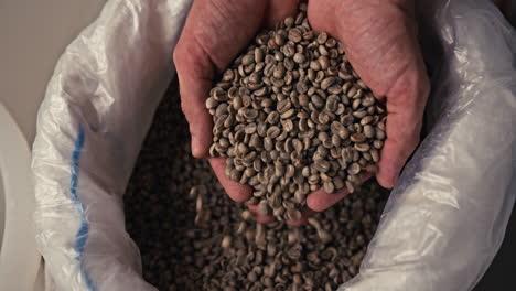 hands pouring green coffee beans from a bag