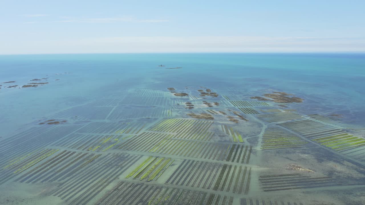 Panorama Of Vast Oyster Farm In North Brittany In France