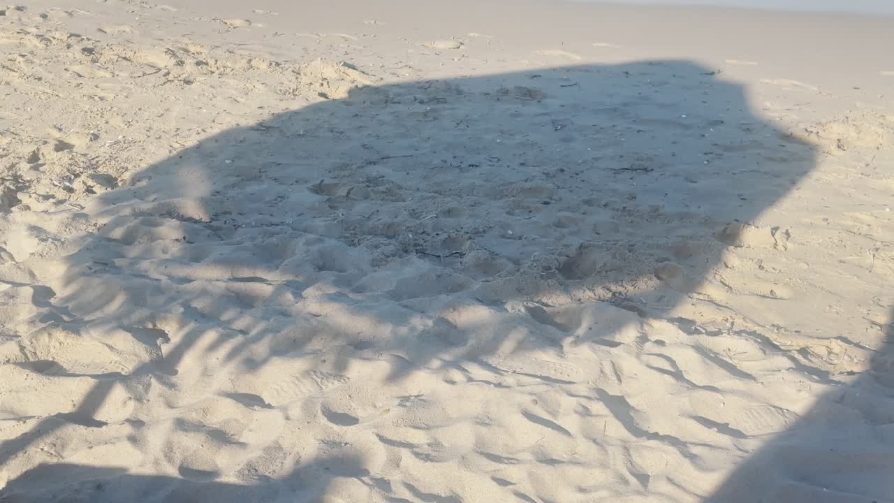 그리스 할키디키 반도의 청정 파란 발 해변