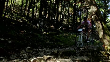a cyclist quickly passing by the camera in a forest path for a mountain bike marathon in tzoumerka in greece