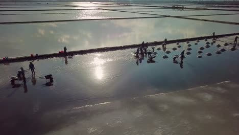 aerial view of salt farmers harvesting salt in vietnam