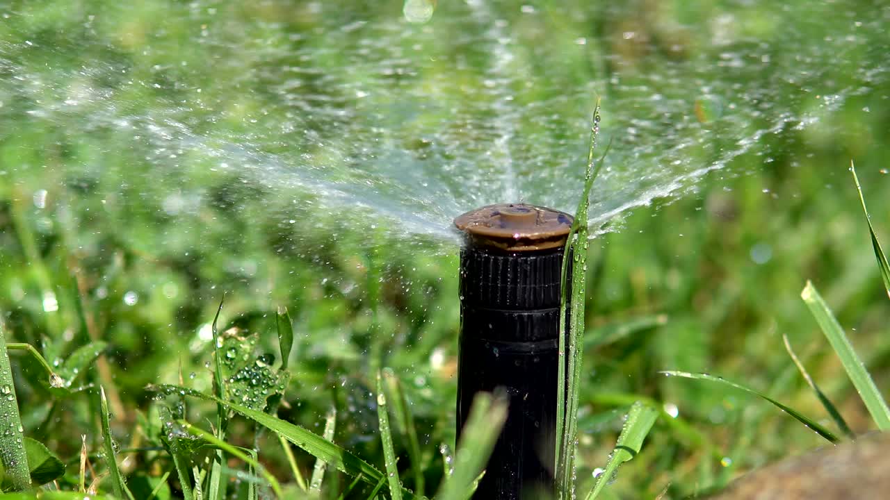 Irrigazione automatica di prati, giardinaggio, ripresa in loop
