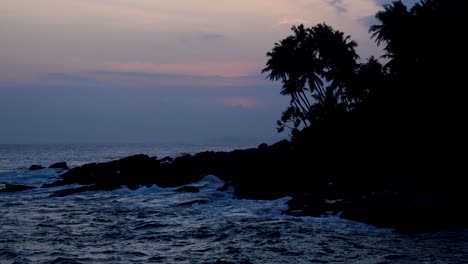 ocean view of silhouetted rocky coastline with coconut palm trees after sunset as darkness sets in on south coast of sri lanka