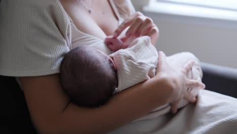 a serene scene shows a mother breastfeeding her newborn a serene scene shows a mother breastfeeding her newborn beautifully highlighting their deep maternal bond