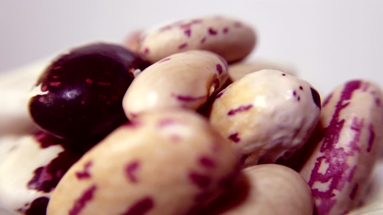 다채로운 콩을 클로즈업으로 볼 수 있으며, 360 맥로 비디오를 루프로 볼 수 있습니다.