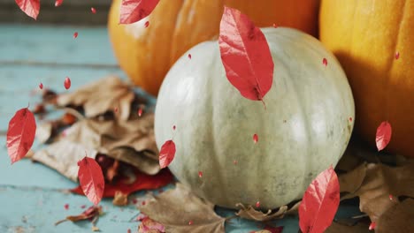 Animation-of-leaves-falling-over-pumpkins