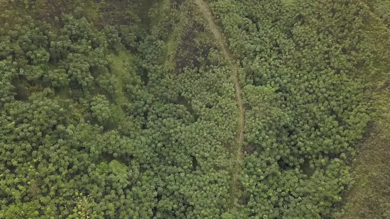 el segmento inferior de las escaleras de haiku es empinado