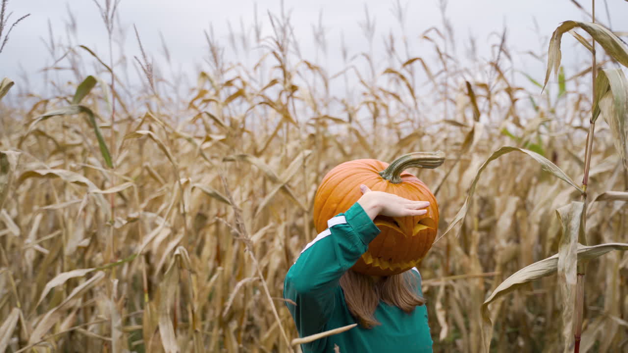 옥수수 밭에서 춤을 추는 호박 머리를 가진 어린 소녀