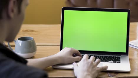 person using laptop with green screen