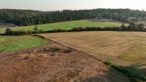 Vista-Aérea-De-Las-Tierras-Agrícolas-Rurales-En-La-Isla-Whidbey,-Washington