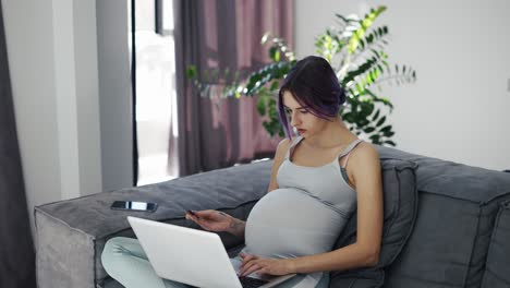 pregnant beautiful woman sitting on sofa at home with laptop in home clothes, ordering goods online