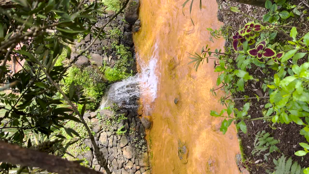 fotografía vertical de una pequeña cascada en cascada en un parque artificial en el corazón de la ciudad, rodeado de exuberante vegetación