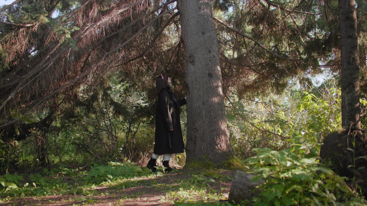 Un amante de la naturaleza camina hacia un pino, apoya la mano en el tronco y admira las elevadas ramas bajo la cálida luz del sol, un claro y tranquilo bosque, abrigo y botas de invierno, pausa consciente, conexión con la vegetación.