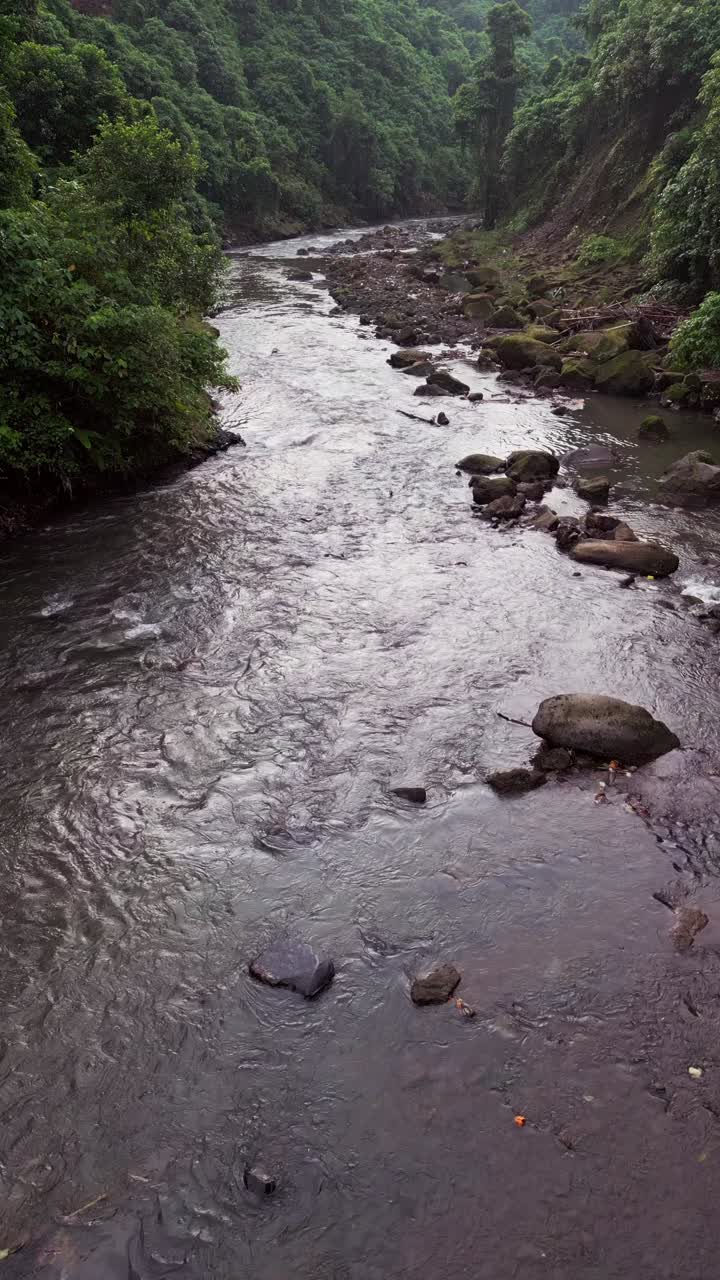 Aliran Sungai Melalui Lembah Hutan Hijau