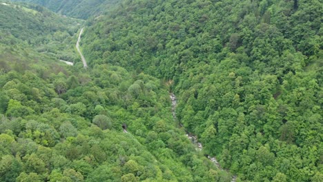 Vista-Aérea-Del-Ferrocarril-Y-El-Río-Que-Atraviesa-El-Bosque-En-Eslovenia