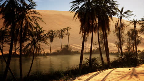 un oasis de palmeras en el desierto