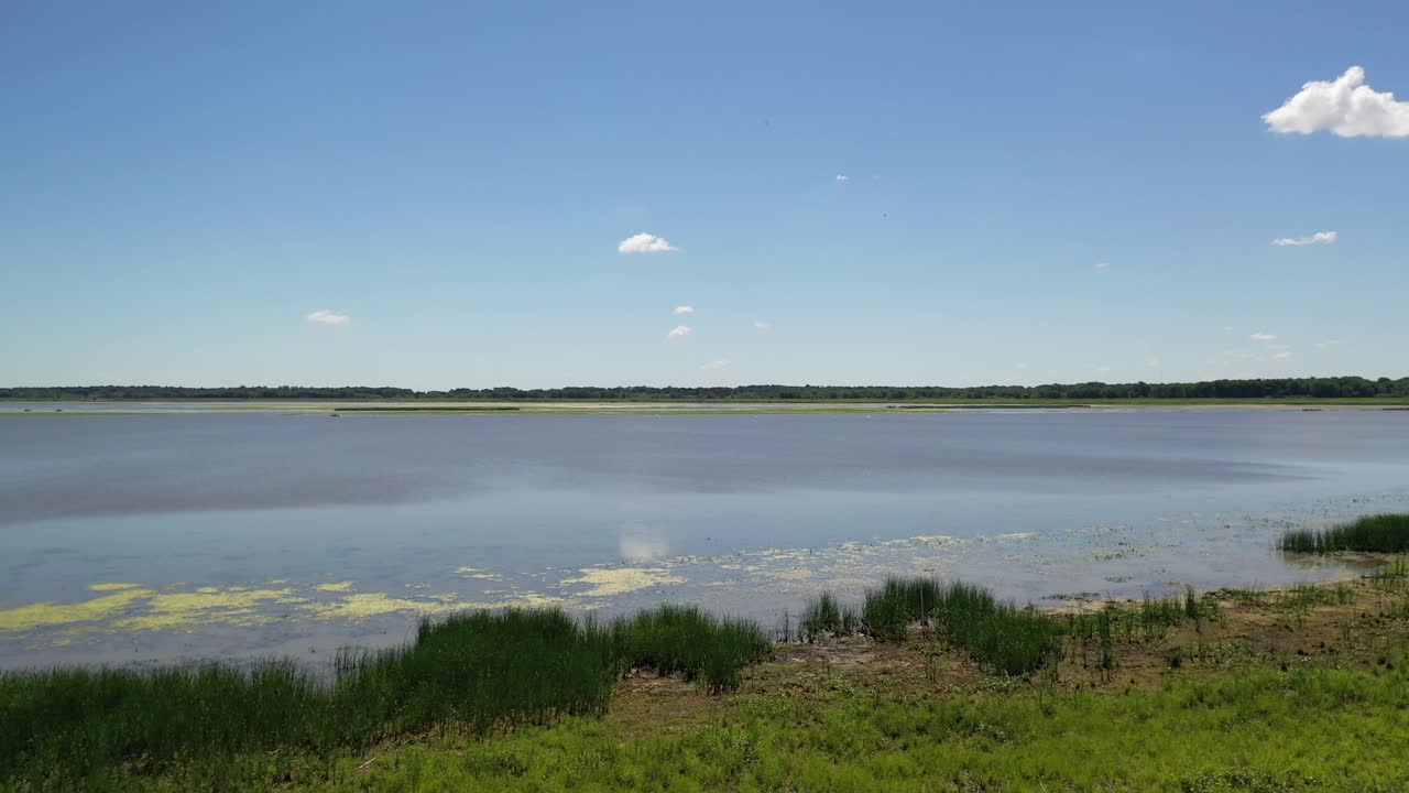 Serene Lake Landscape with Lush Green Vegetation